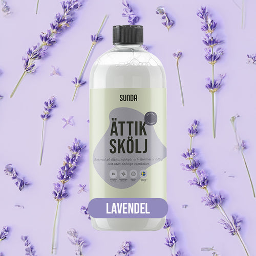 Lavendel