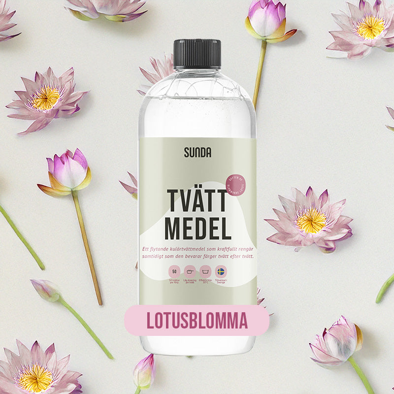 Lotus