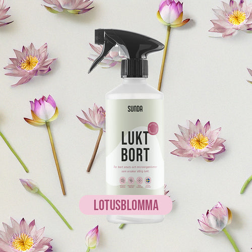Lotus
